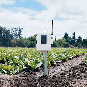 6345OV Leaf & Soil Station