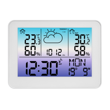 35.1175.02 Meteo Sky weerstation