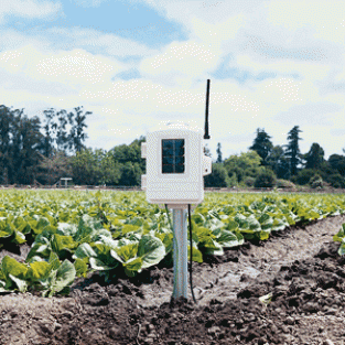 6345CS Leaf & Soil Station