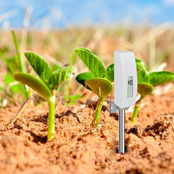 WN34S Temperature Sensor with Stainless Steel Probe